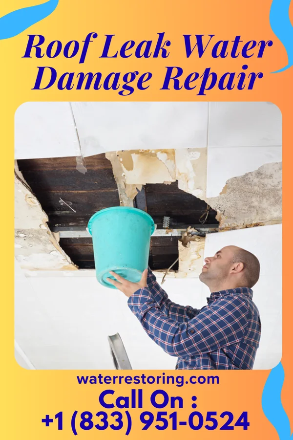 Roof Leak Water Damage Repair in White Sulphur Springs, MT